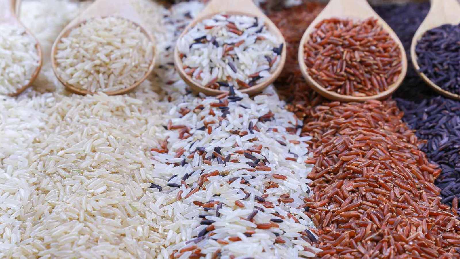 Red vs black vs brown vs white rice: Which one is healthier?