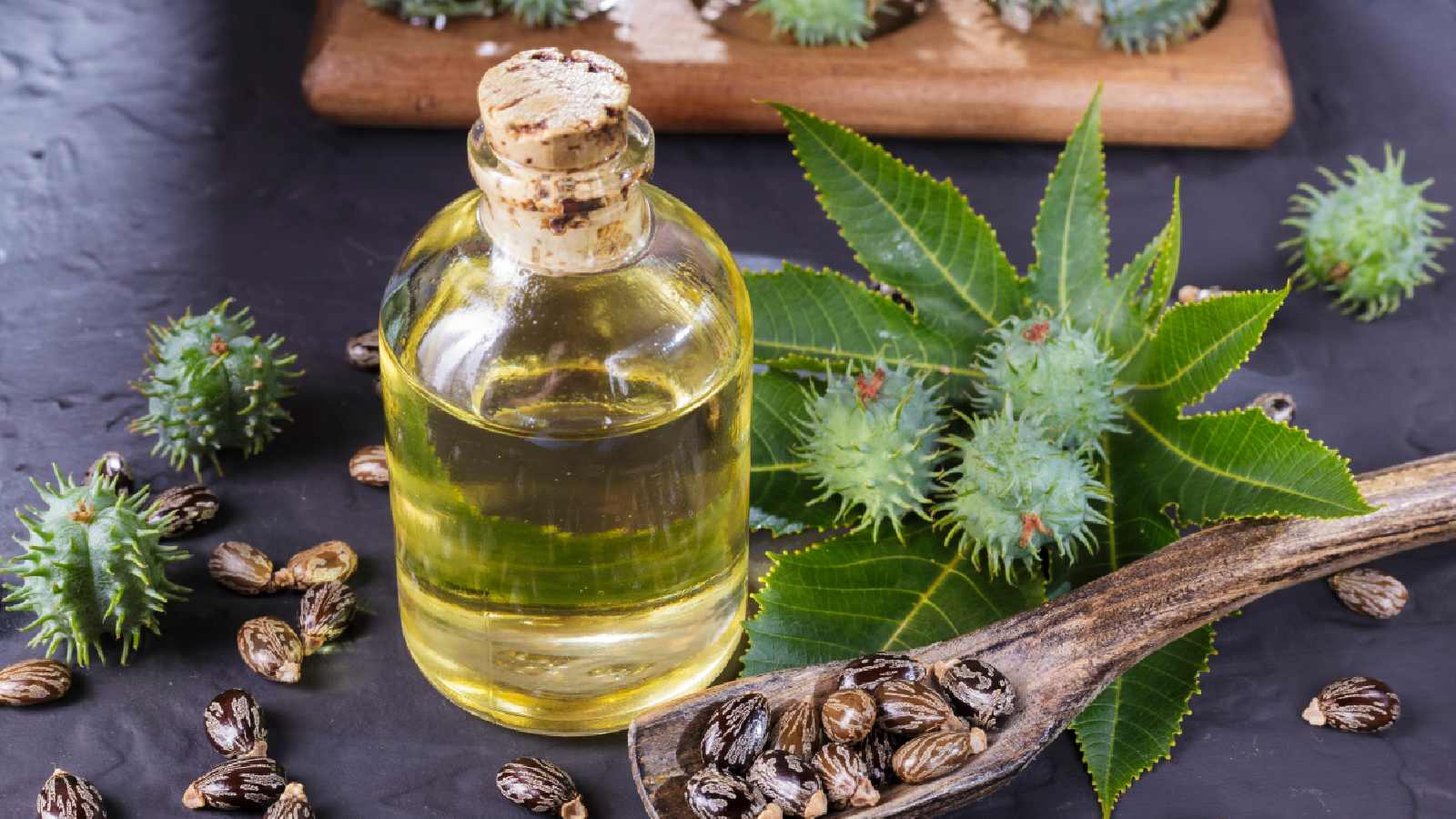 6 best castor oils for long, shiny and strong hair