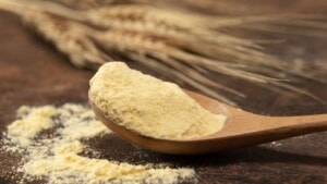 6 best maize flours or makki atta to improve energy and immunity