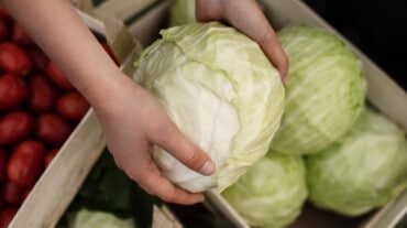 A woman picking up cabbage