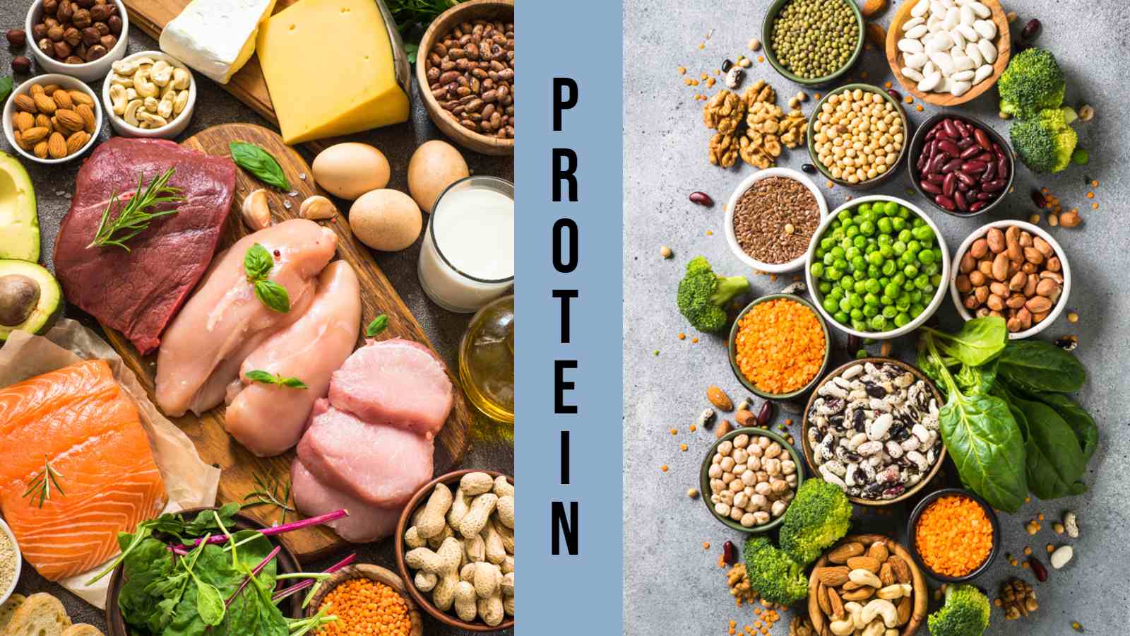 Animal protein vs plant protein: Which is better?